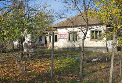 Teren Construcții intravilan de 1914 mp, în Ciocârlia de Sus - 2