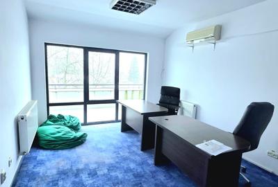 Spațiu comercial, de 269 mp, în Tătărași - 10