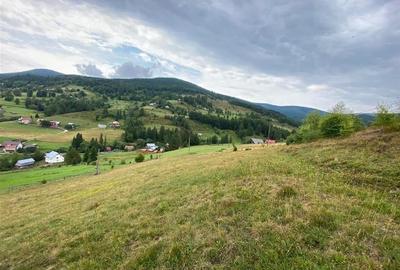 RECO Teren intravilan in Arieseni - 8