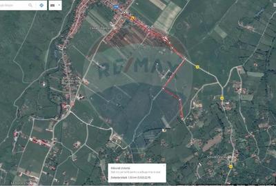 Teren de 6900 mp, în Bran