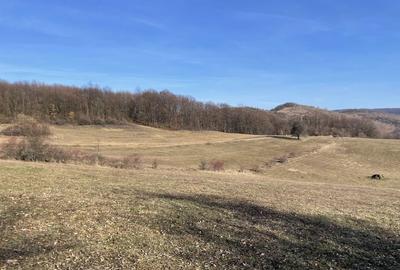 Spațiu comercial, în Tomnatic - 4