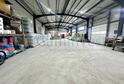 Spațiu industrial, în Borș