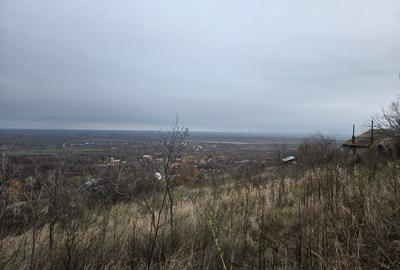 Teren vanzare Dara, Pietroasele - 3