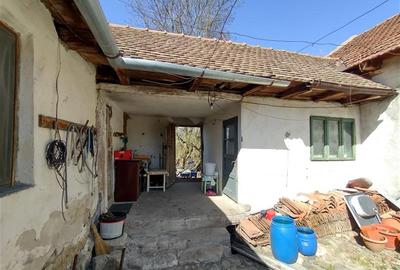 Casă individuală cu 8 camere cu Teren 3800 Mp în Răchitova - 34