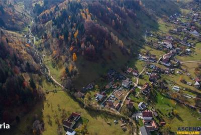 Spațiu comercial, în Drumul Carului - 3