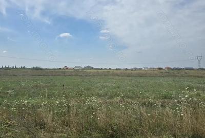 Mosnita Veche - 11 parcele - 10800 mp- CF individuale - 4