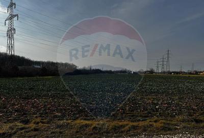 Teren 4,000mp Balotesti / Strada Rozelor - 2