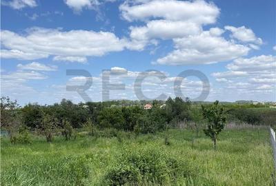 Casă cu 3 camere în Parhida - 5