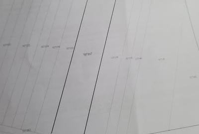 Teren agricol extravilan de 16 mp, în Nord-Est - 2