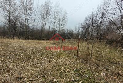 Casă cu Teren 1358 Mp în Gura Beliei - 3
