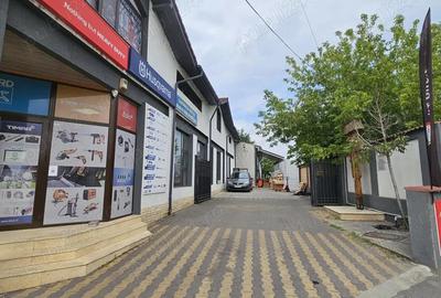Vanzare spatiu comercial + depozit - Brestei (Raului) - 6