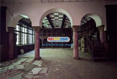 Cismigiu, vila neoromaneasca, suprafata construita 3000 mp, teren 1760 - 29