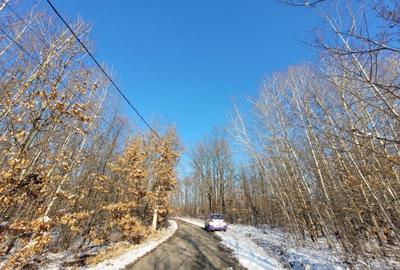 Teren intravilan, situat in Scoarta, sat Pistestii din Deal - 3