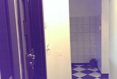Apartament cu 2 camere semidecomandat în Vlahuță - 3