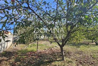 Teren de 308 mp, în Bălești - 6