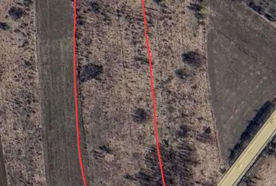 Teren de 15000 mp, în Schitu Duca - 2