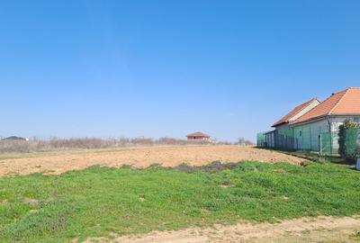 Spațiu comercial, în Cihei - 2