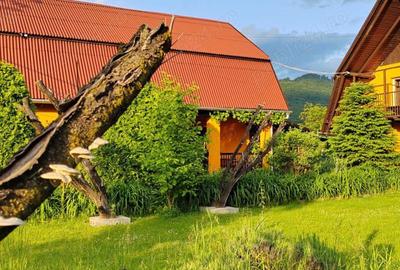 Casă cu 9 camere în Sovata - 9