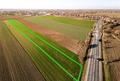 Teren intravilan de 5000 mp, în Tămășeu - 2