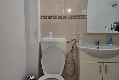 Apartament cu 2 camere decomandat în Medicină - 19