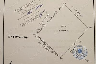 Vand cladire si livada in orasul Giurgiu - 1