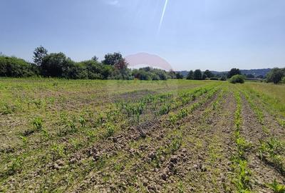 DE VANZARE - Teren intravilan Sisesti, Maramures (0% comision) - 4