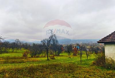 Teren Construcții intravilan de 4627 mp, în Unguraș - 6