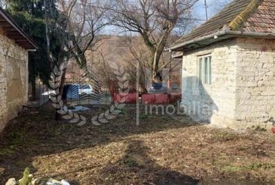 Teren intravilan | Construibil imediat | 2600mp | Front 21mp | Faureni - 4