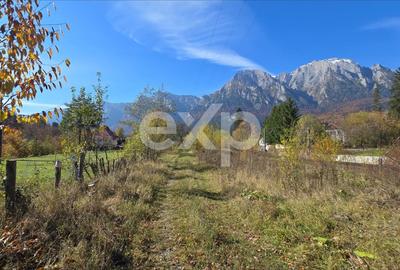 Teren Construcții intravilan de 1117 mp, în Gării - 5