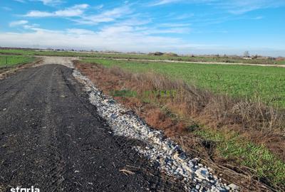 Teren de 500 mp, în Glina - 4