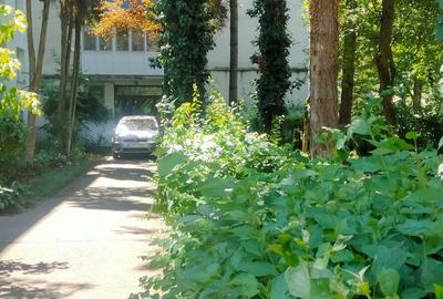 Apartament cu 2 camere, mobilat în Plopilor - 3