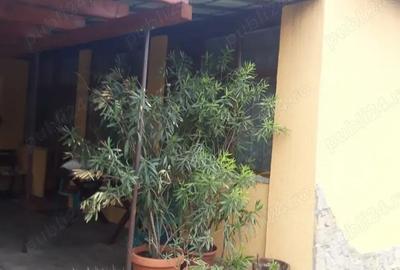 Casă cu 3 camere cu Teren 23000 Mp în Moftin - 8