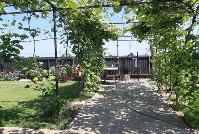 Casa de vanzare parter plus mansarda - 4