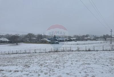 Teren 8,300mp Negresti (Dobreni) / Drumul DEALUL OTEL - 5