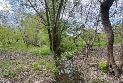 Spațiu comercial, în Malu Mare - 6