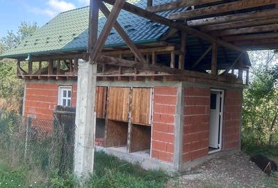 Casă cu 2 camere în Stâlpeni