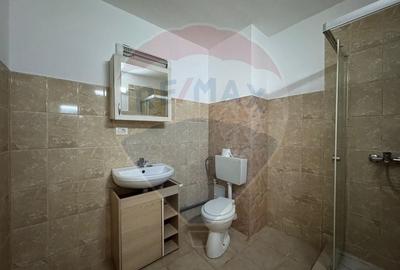 Apartament cu 1 camere nedecomandat, mobilat în Central - 3