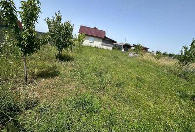 Casă cu 1 camere cu Teren 425 Mp în Central - 2