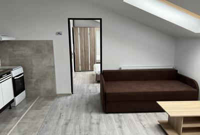 Apartament cu 2 camere semidecomandat, mobilat în Vasile Aaron - 3