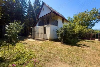 Casa la Mako, pe malul Muresului - 1