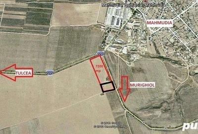 Teren în Mahmudia - 1