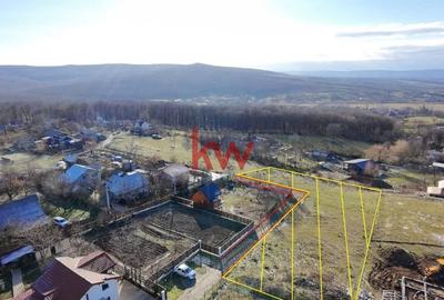 Teren Intravilan in Pietraria Barnova