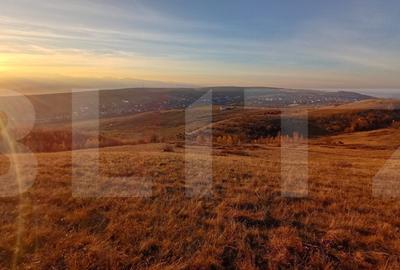 Teren de 8600 mp, în Sălicea - 5