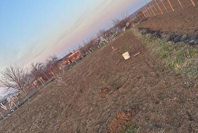 Spațiu comercial, în Căscioarele - 1