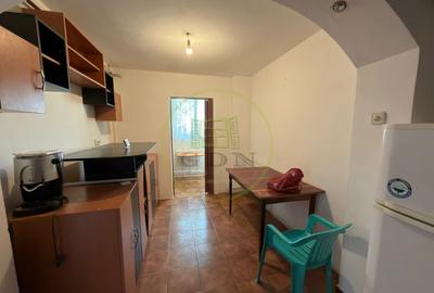 Apartament cu 2 camere decomandat, mobilat în Brazda lui Novac - 5