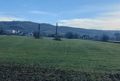 Teren de 4730 mp, în Boldești