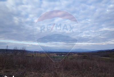 Teren de 5240 mp, în Copalnic - 7