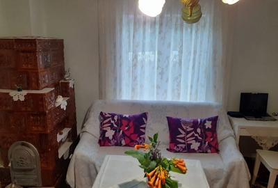 Casă cu 4 camere cu Teren 10000 Mp în Munteni - 2