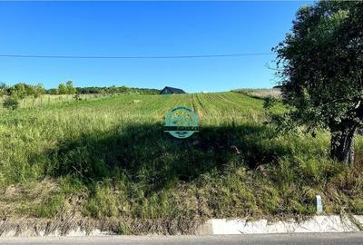 Vand teren intravilan in Sanisor cu suprafata de 4946 mp - 3