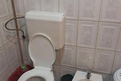 Garsonieră decomandată în Podgoria - 4